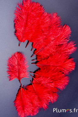 Autruche Bellies - 8-13 cm - rouge